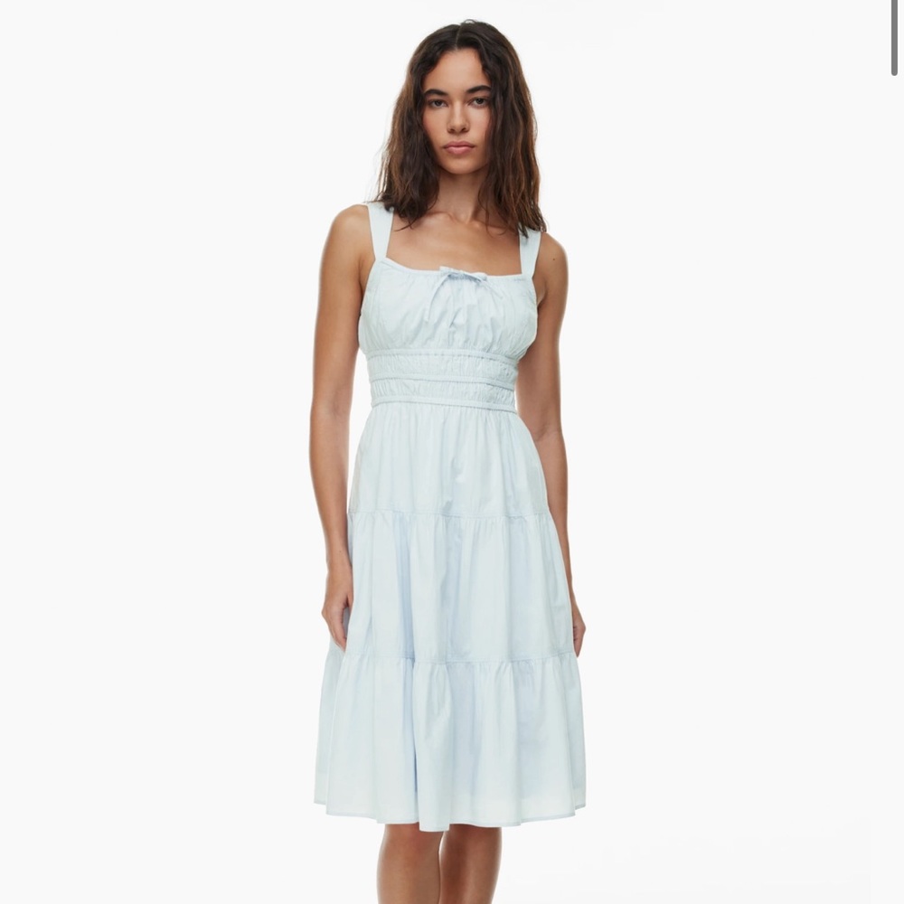 Aritzia Martine Midi Dress